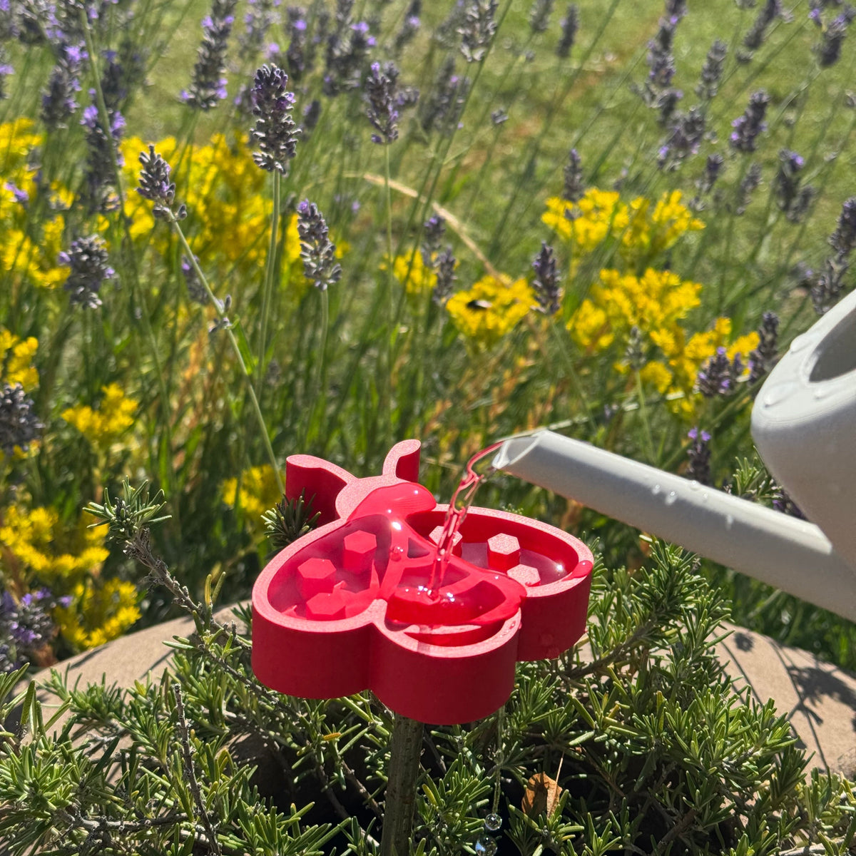 Warum trinken Bienen eigentlich Wasser?