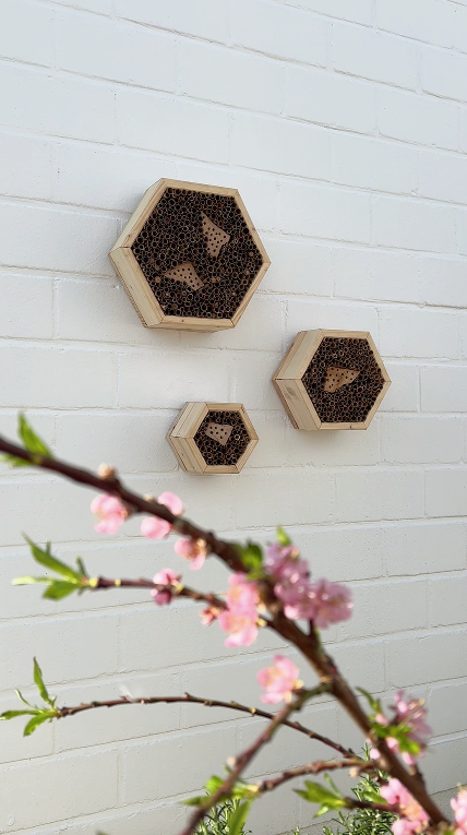 Das Bienenhotel - DIY Anleitung zum Selberbauen