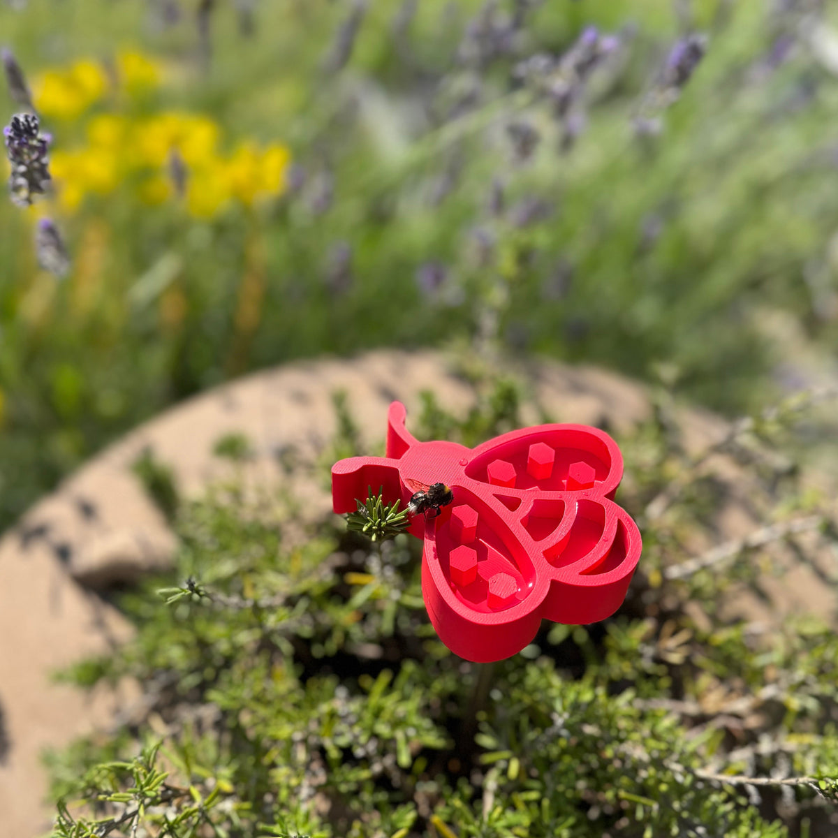 Insektentränke Biene